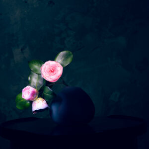 Camelia