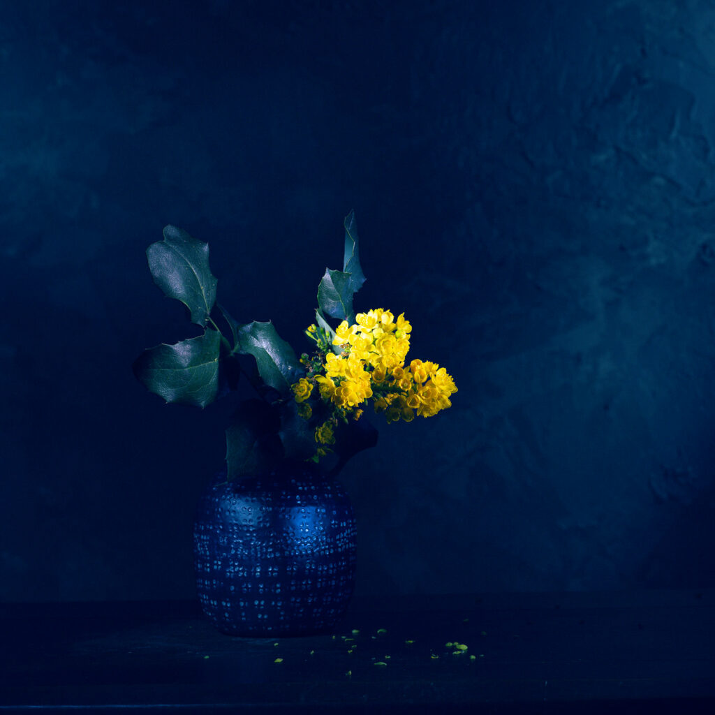 Mahonia