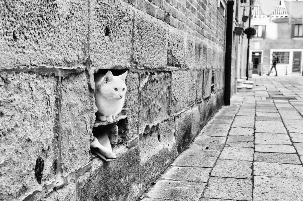 Dans le mur
