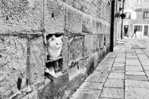 Dans le mur