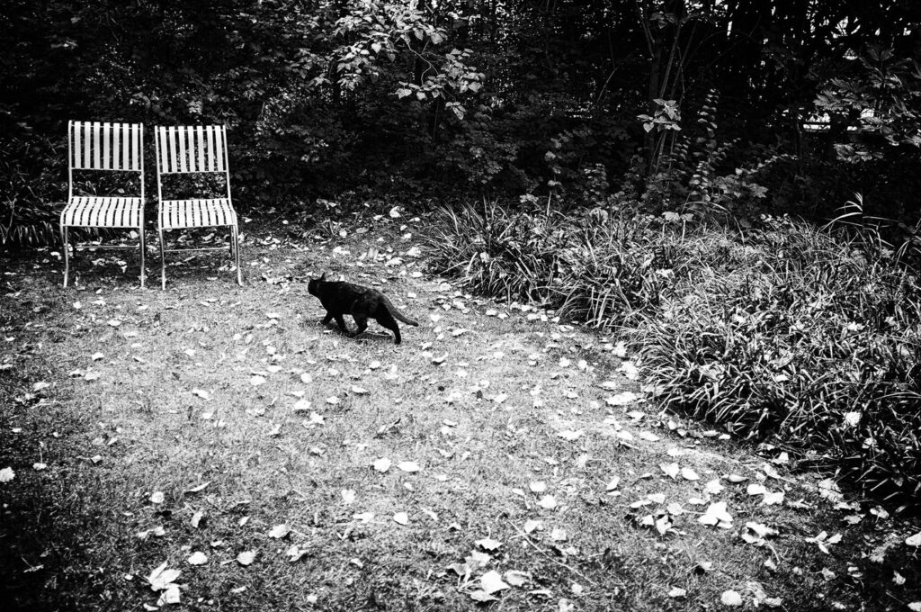 Les chaises #03