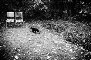 Les chaises #03