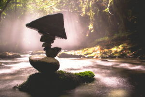 Equilibrium #04