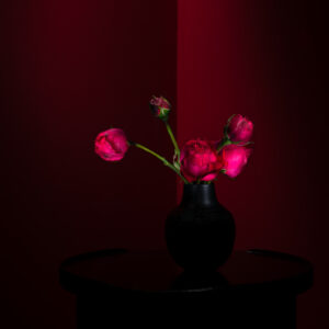 Rose #01