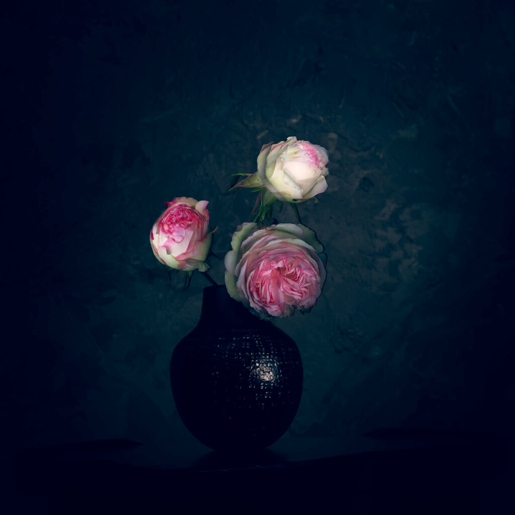 Rose #02