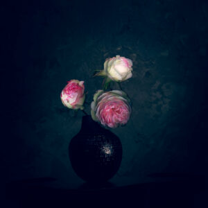Rose #02