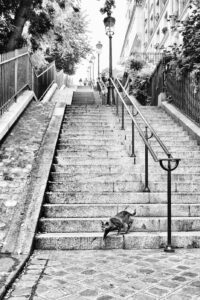 L’escalier