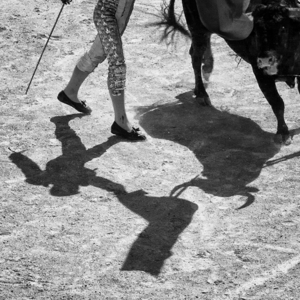 Passe haute