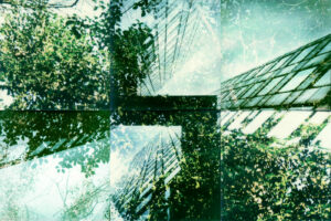 Lost City #07