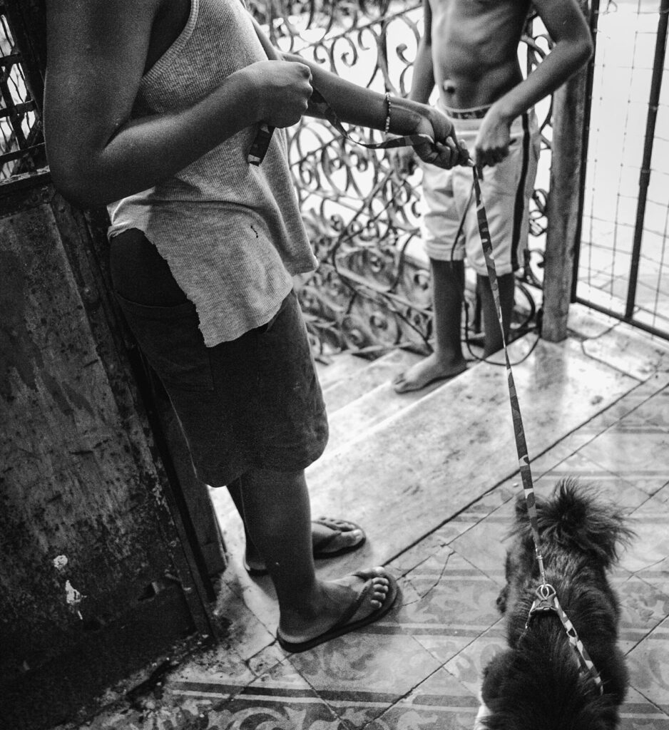 Inside Havana #8