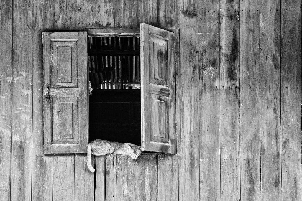 La sieste