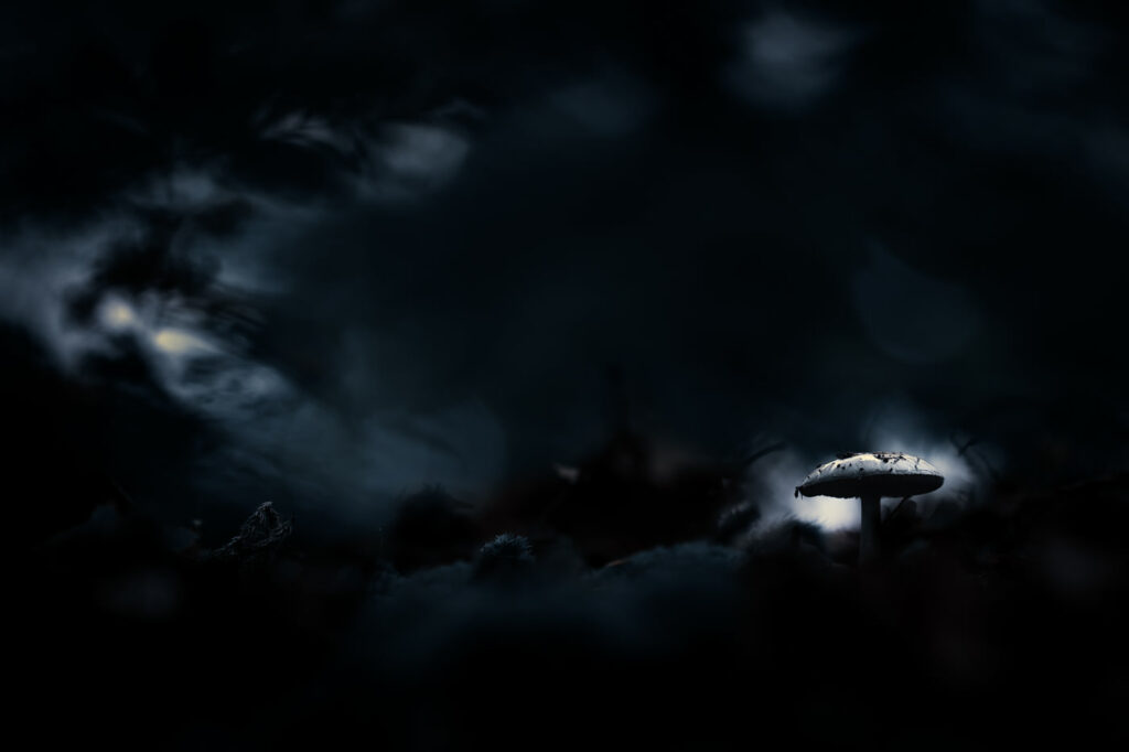 Lycanthrope