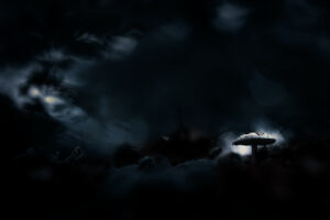 Lycanthrope