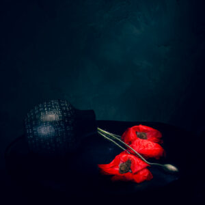 Coquelicots #01