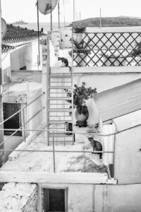 La vigie
