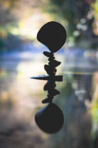 Equilibrium #10