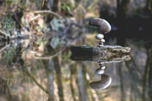 Equilibrium #11