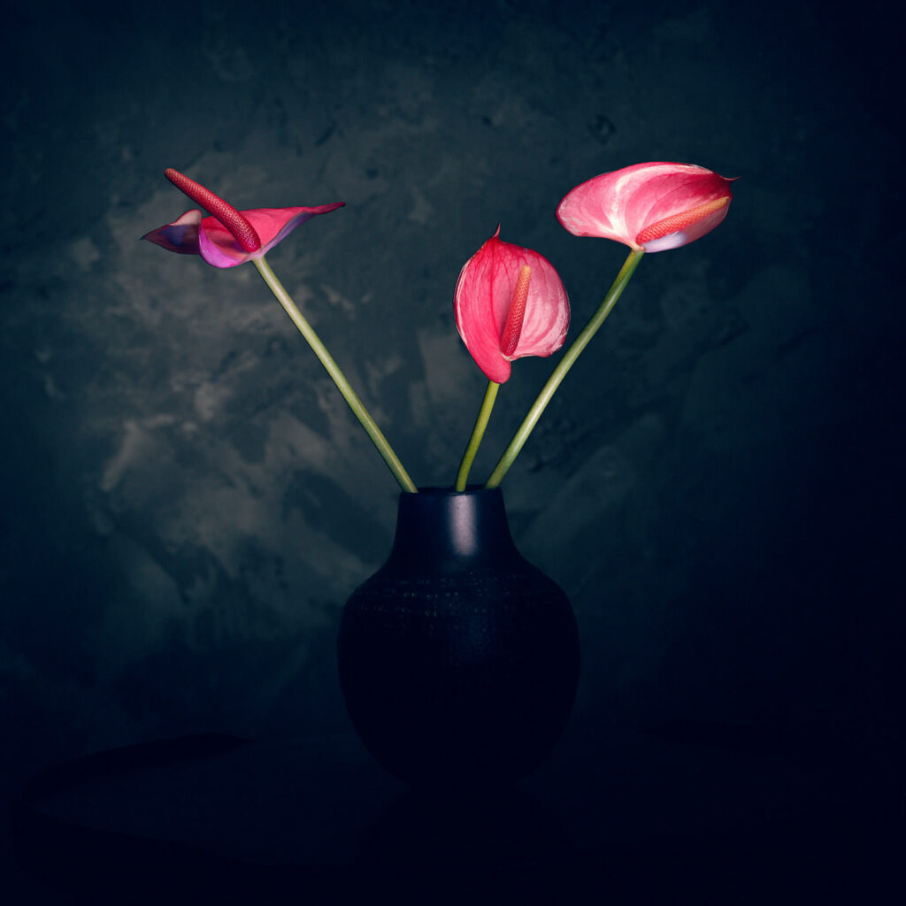 Anthuriums