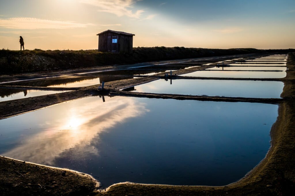 Marais Salants