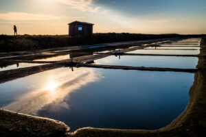 Marais Salants