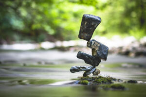 Equilibrium #12