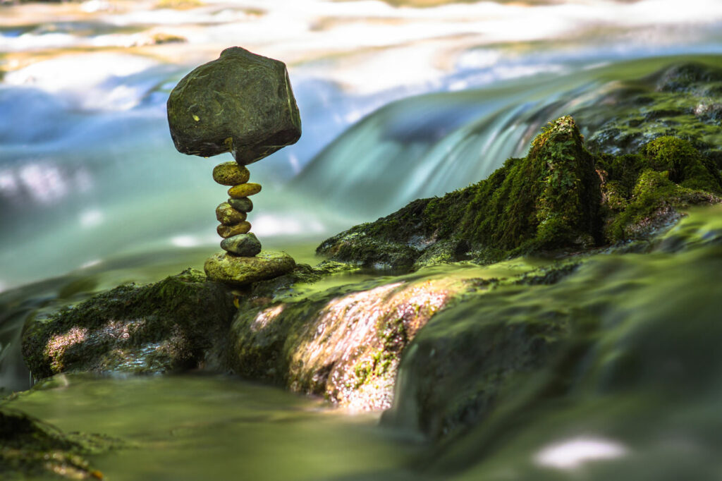 Equilibrium #13