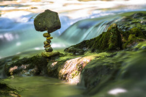 Equilibrium #13