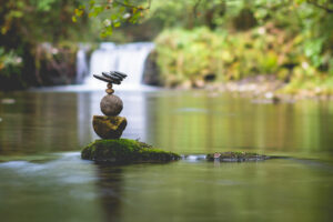Equilibrium #14