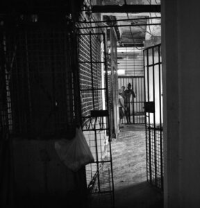 Inside Havana #15