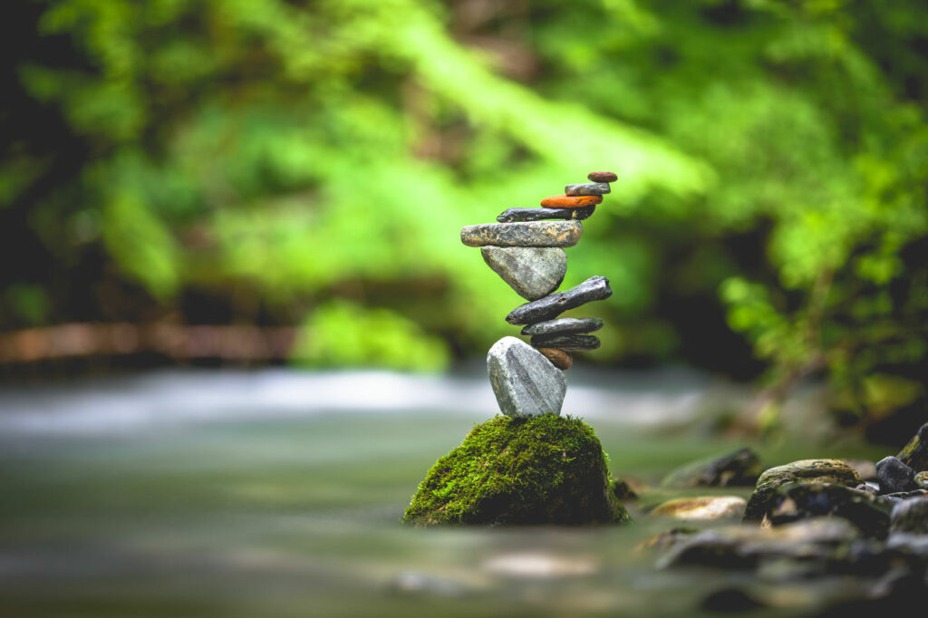 Equilibrium #15