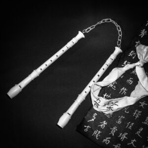 Ninja musicien