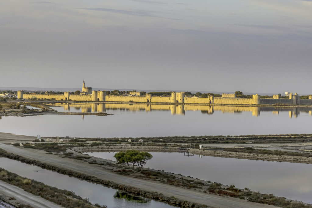 Camargue #01