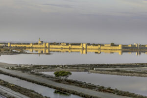 Camargue #01