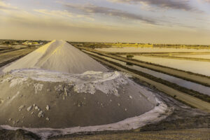 Camargue #02