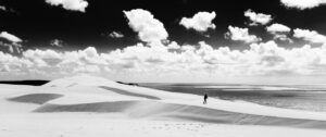 Résilience