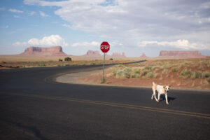 West USA #20