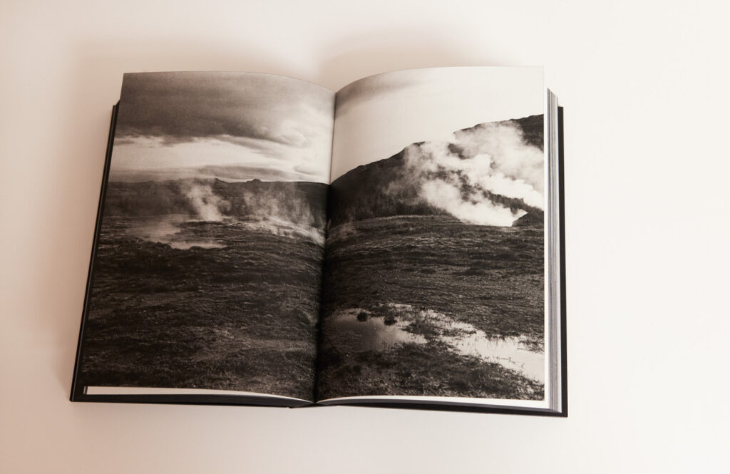 Damian Noszkowicz – Gossamer – Image 4