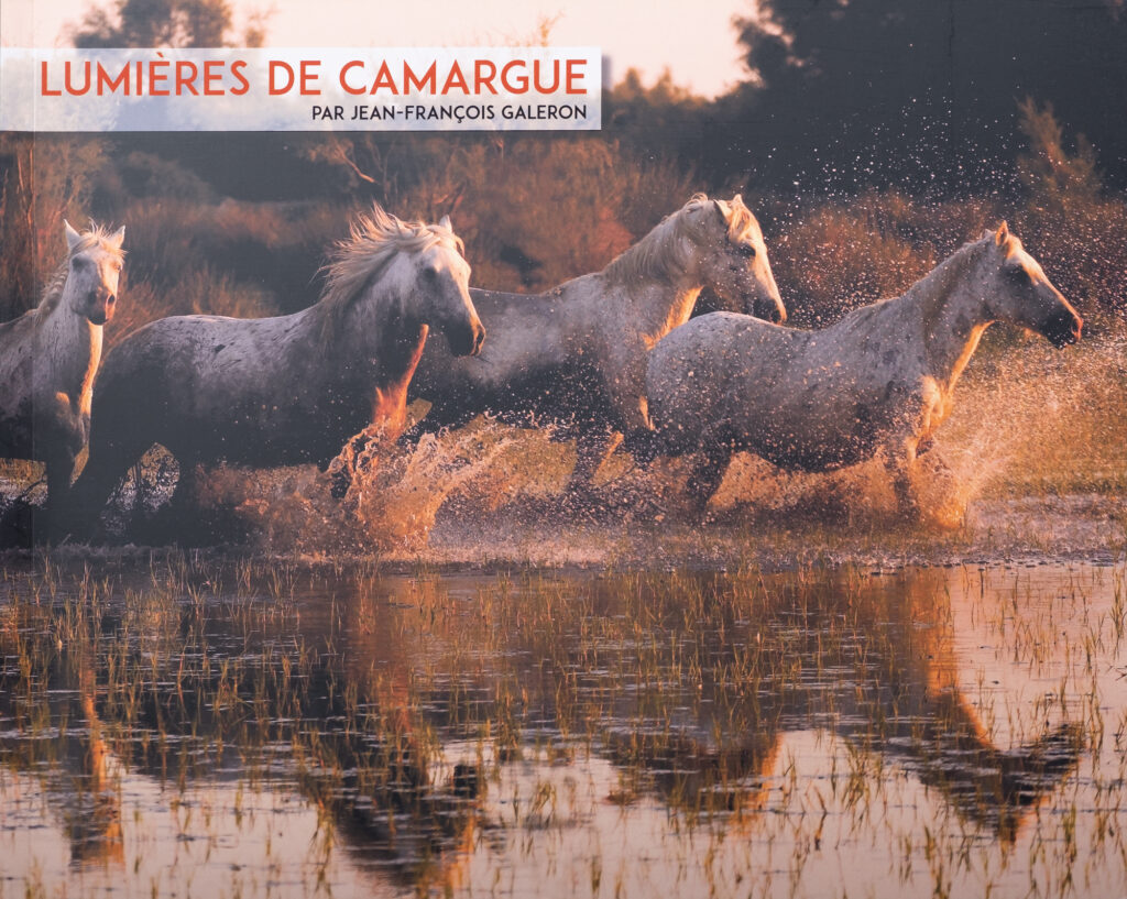 Jean-François Galeron – Lumières de Camargue