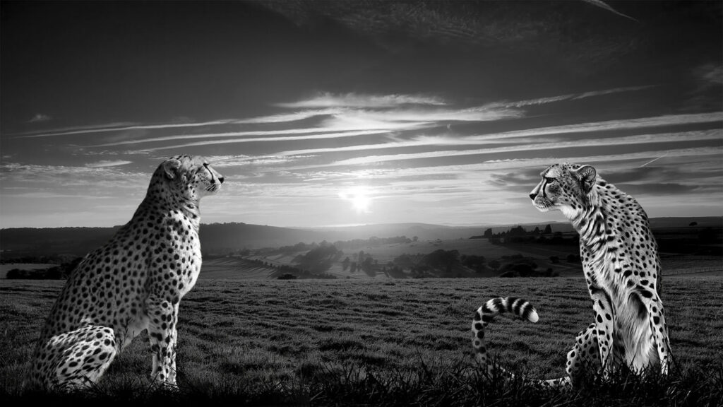 Waiting for hunting