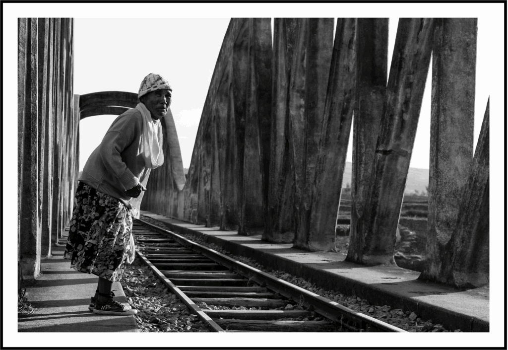 Ligne d'âge #1