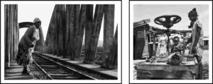 Ligne d’âge