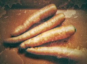 Carottes