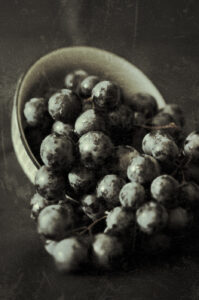 Muscadet #01
