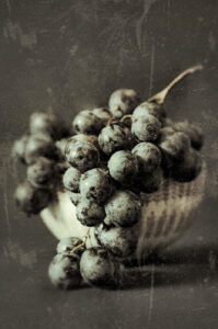 Muscadet #02