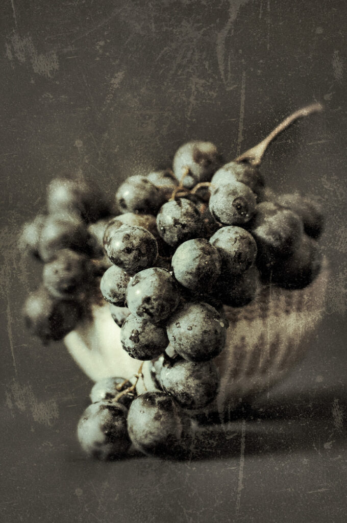 Muscadet #02