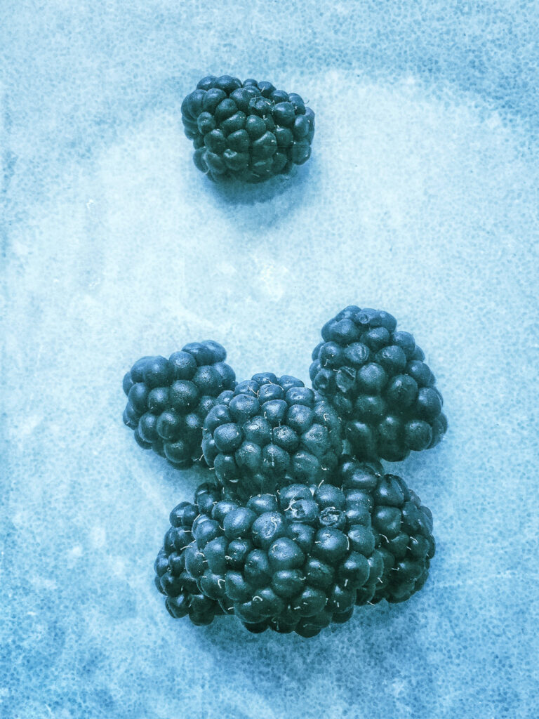 Mûres