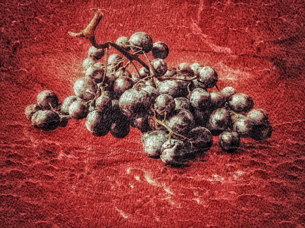 Raisin noir