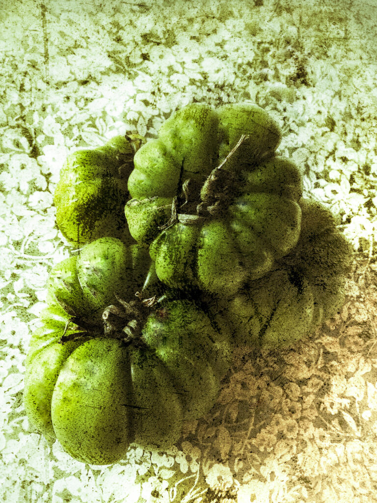 Tomates Vertes