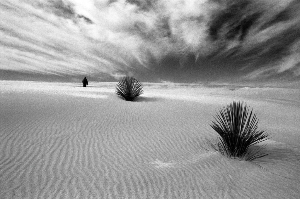American Landscape #20