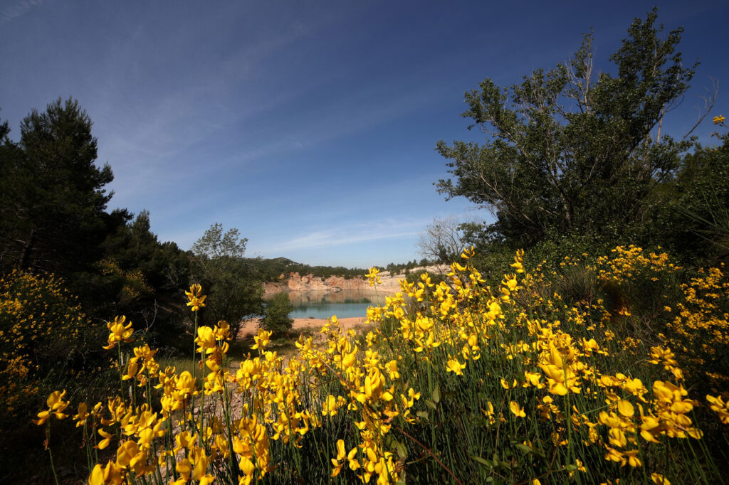 Provence 01